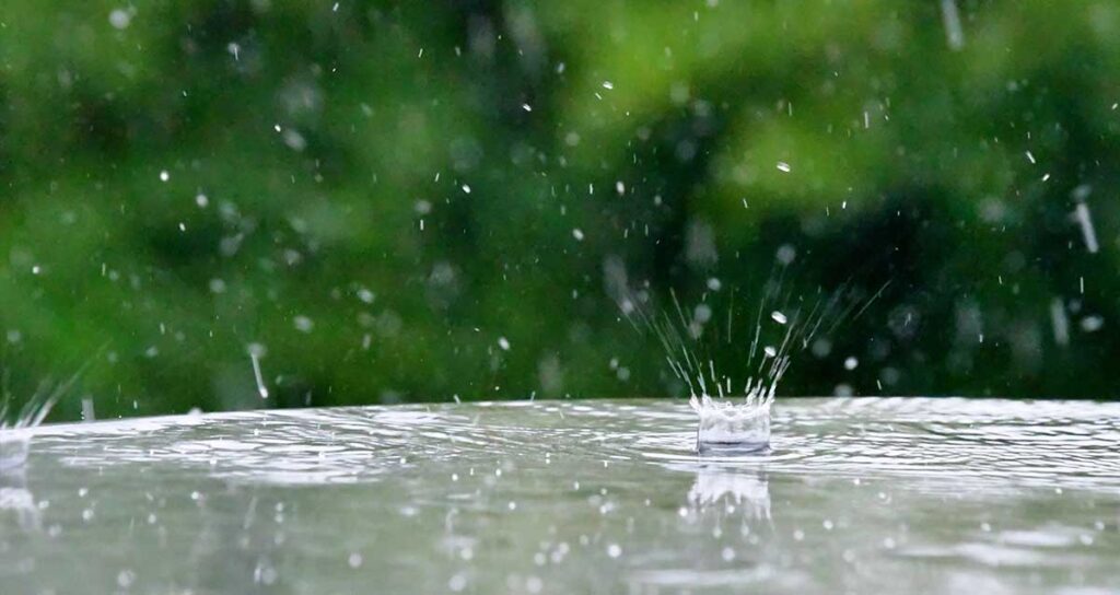 inquinanti più comuni