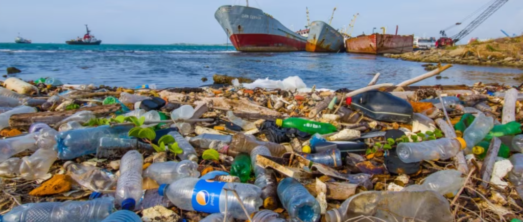 le microplastiche nel mare