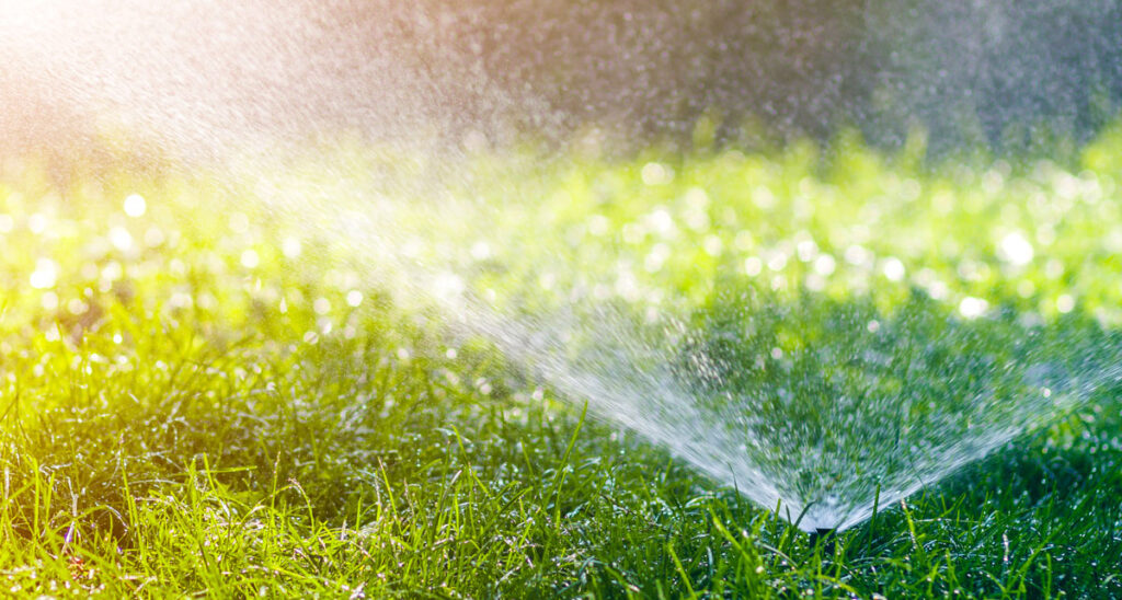 acqua addolcita