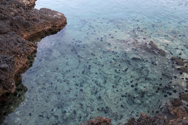 inquinamento ambientale